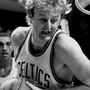 larry bird pita